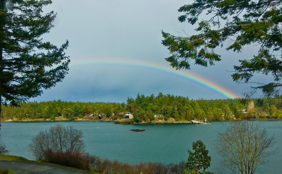 16807174_10155853016063626_57314179487201449_n